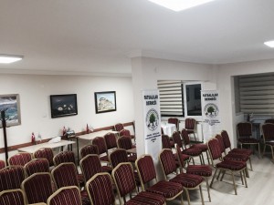Salon-2